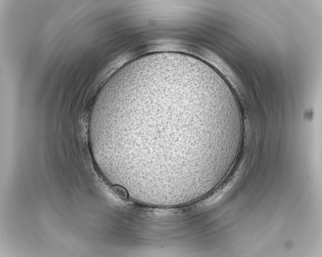 X0000093580857200711051116