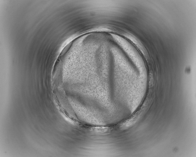 X0000093580858200711051116