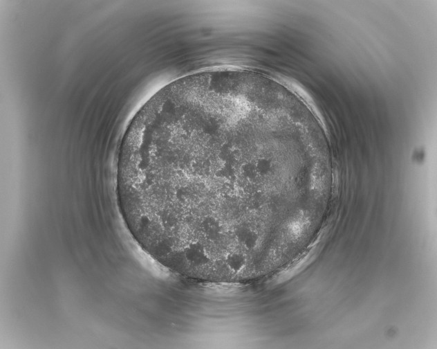 X0000093580859200711051116