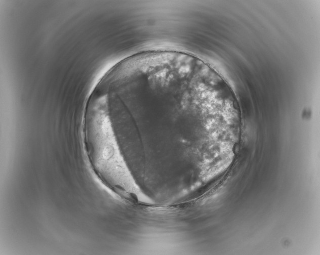 X0000093580863200711051116