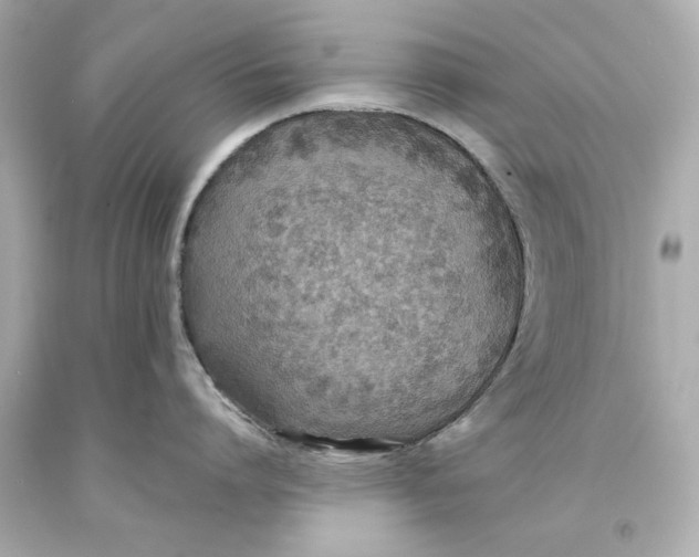 X0000093580864200711051116