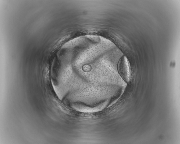 X0000093580866200711051116