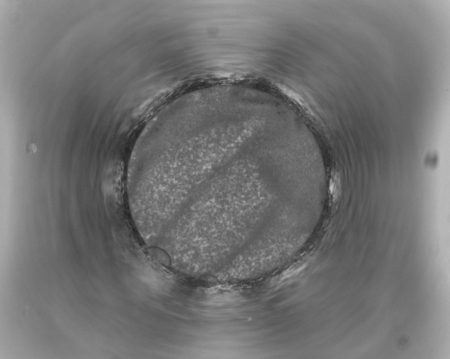 X0000093580867200711051116