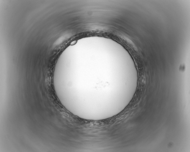 X0000093580869200711051116