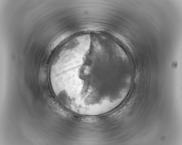 X0000093580874200711051116