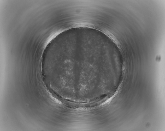 X0000093580877200711051116