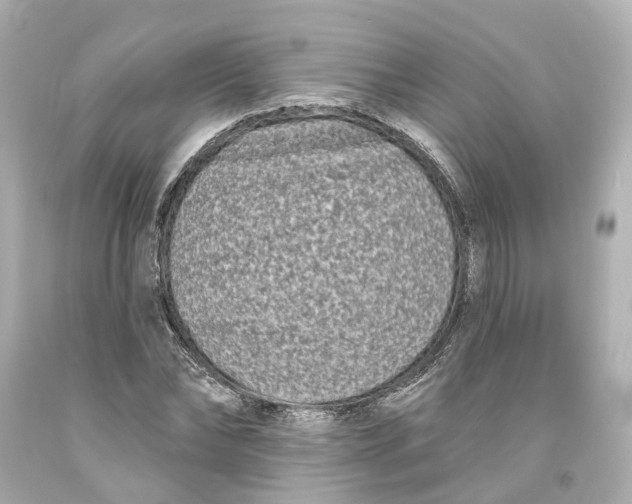 X0000093580878200711051116