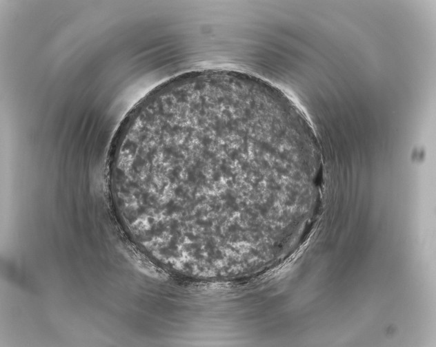 X0000093580879200711051116