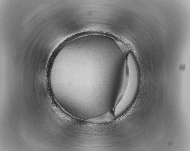 X0000093580880200711051116