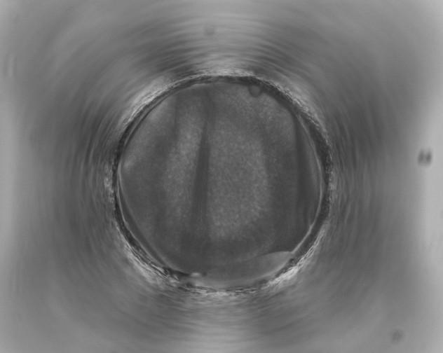 X0000093580881200711051116