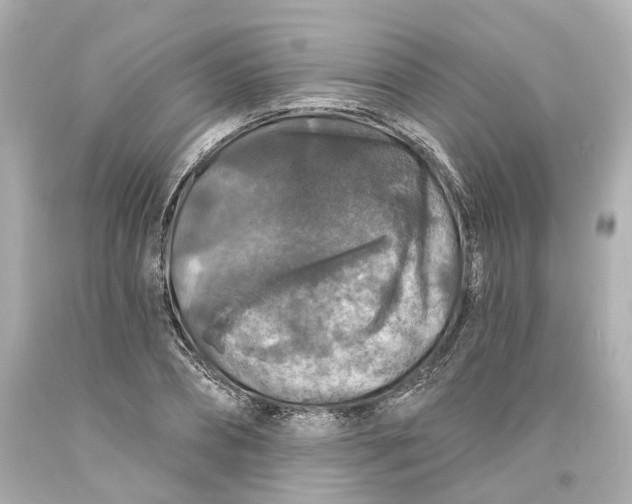 X0000093580882200711051116