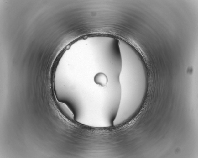 X0000093580884200711051116