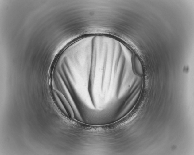 X0000093580885200711051116