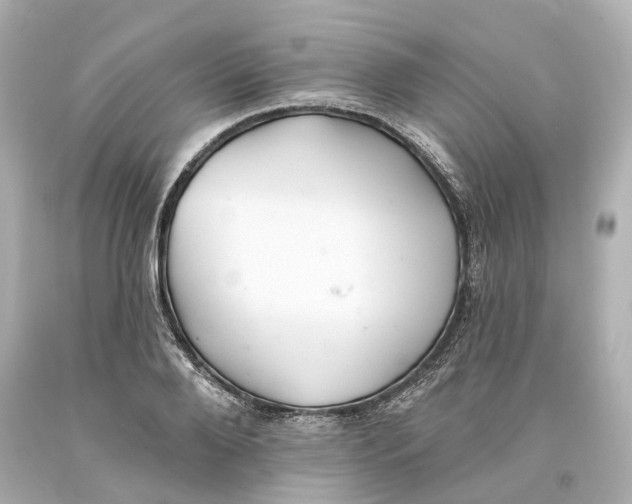 X0000093580888200711051115