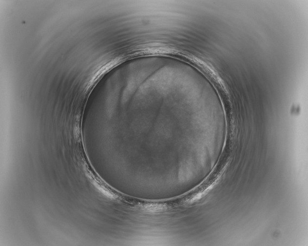 X0000093580889200711051115