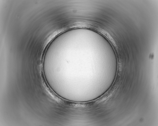 X0000093580890200711051115