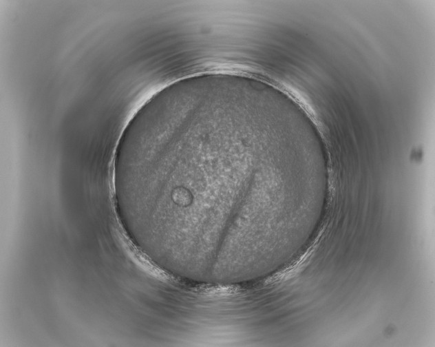 X0000093580891200711051115