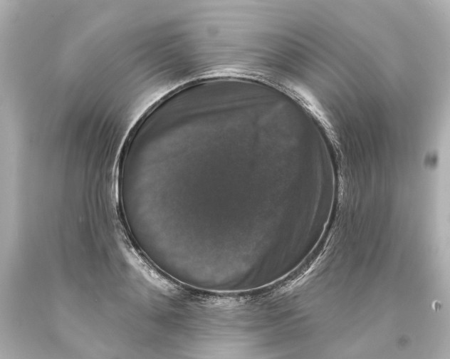 X0000093580892200711051115