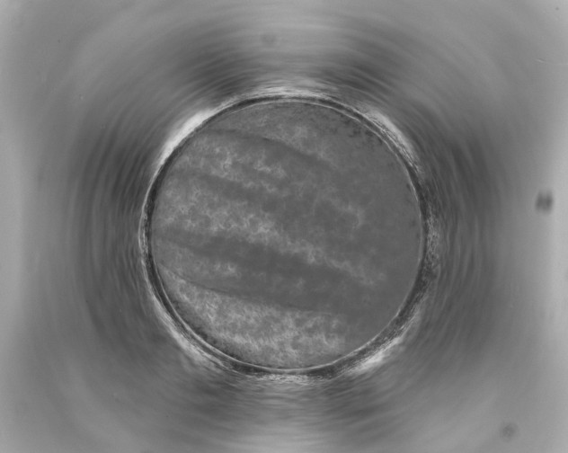 X0000093580893200711051115