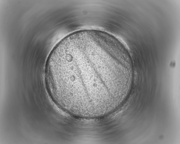 X0000093580895200711051115