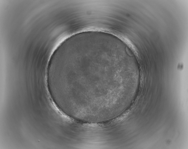 X0000093580896200711051115