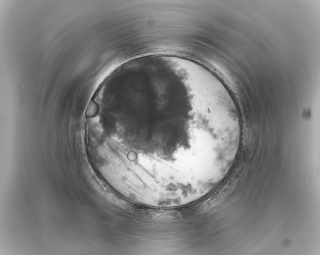 X0000093580899200711051115