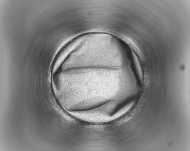 X0000093580900200711051115