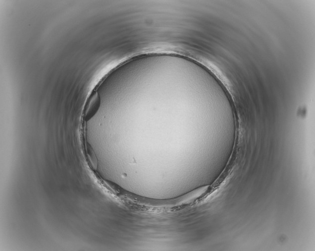 X0000093580901200711051115