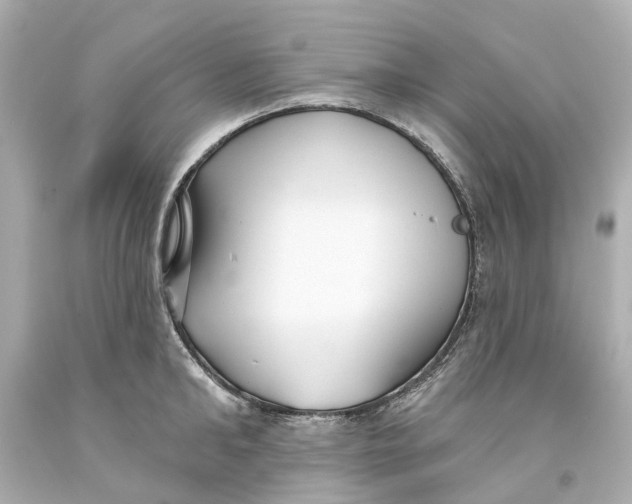 X0000093580902200711051115