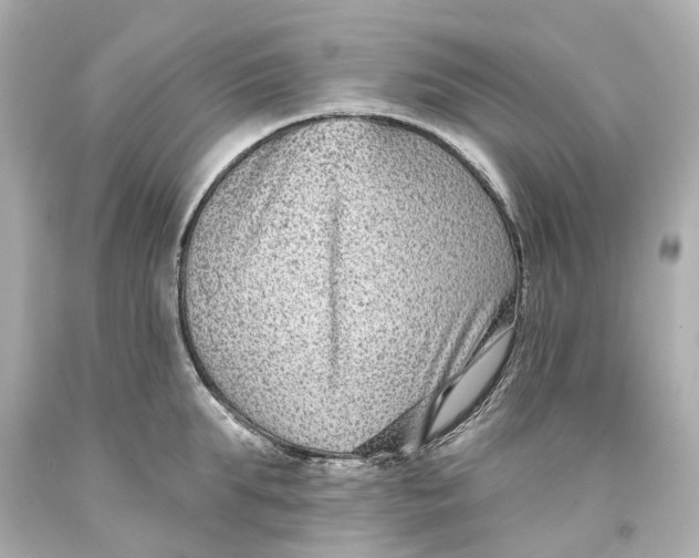 X0000093580903200711051115