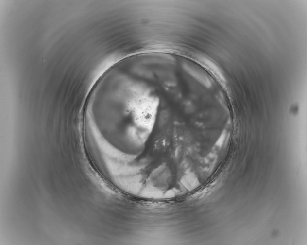 X0000093580907200711051115