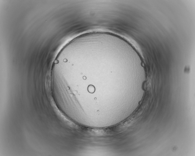 X0000093580911200711051115