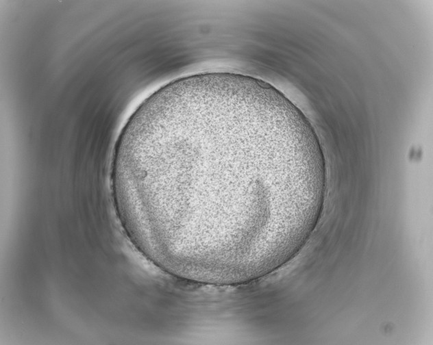 X0000093580912200711051115