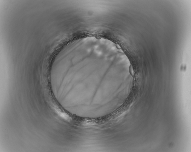 X0000093580913200711051115