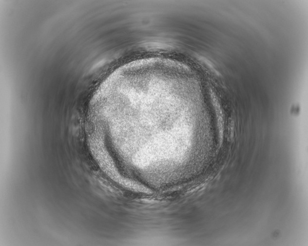 X0000093580917200711051115