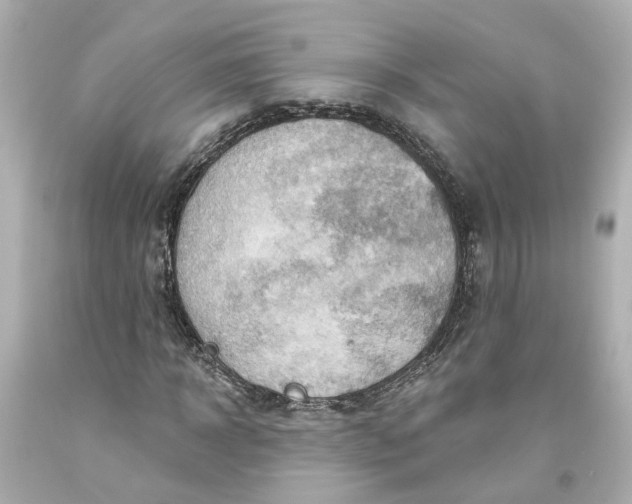 X0000093580918200711051115