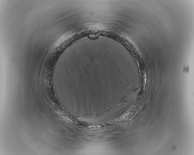 X0000093580919200711051115