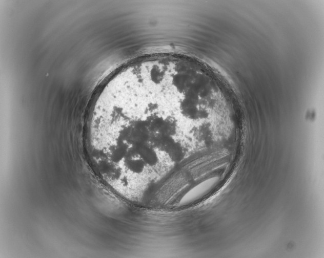 X0000093580921200711051115