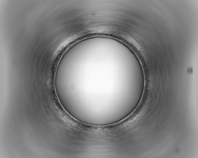 X0000093580922200711051115