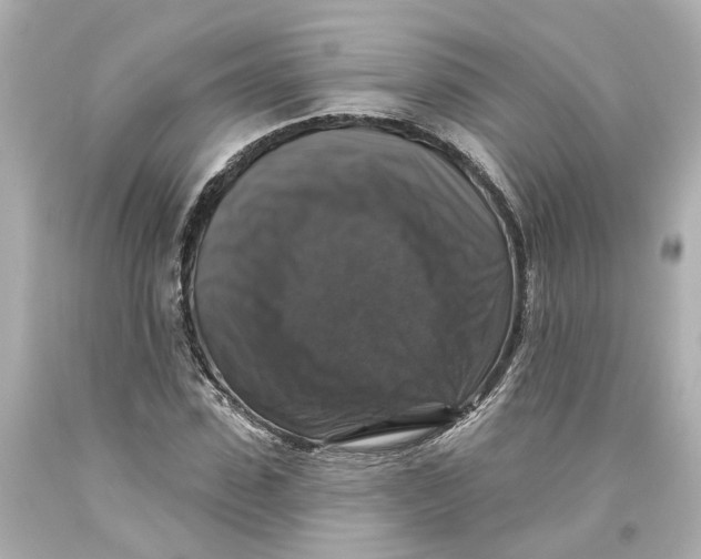 X0000093580923200711051115