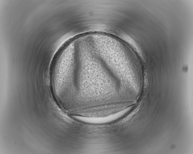 X0000093580924200711051115