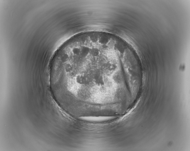 X0000093580925200711051115