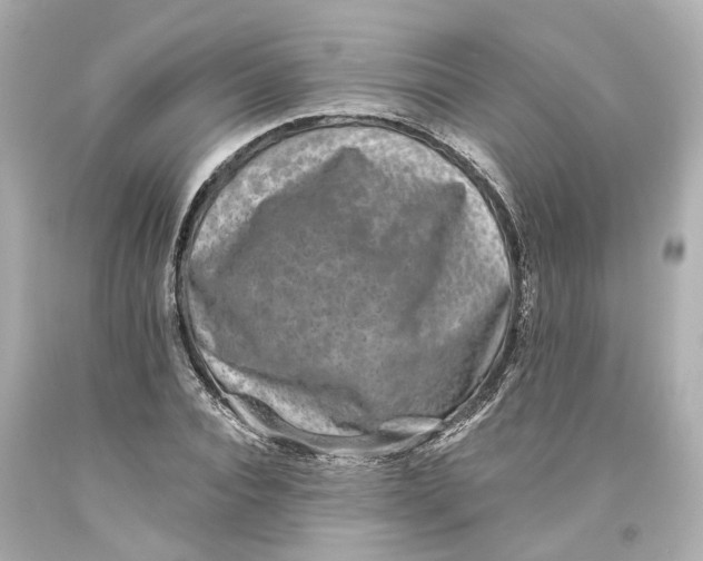 X0000093580928200711051115