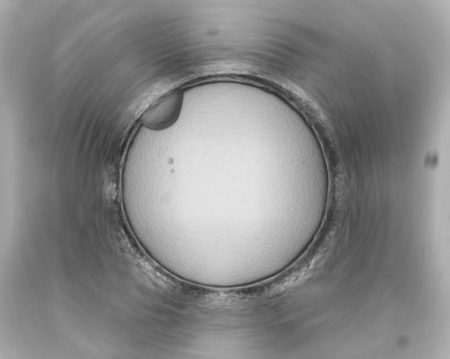 X0000093580929200711051115