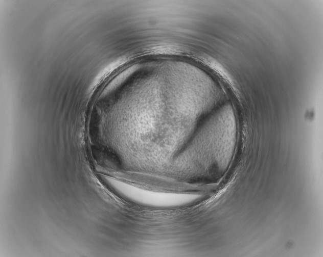 X0000093580930200711051115