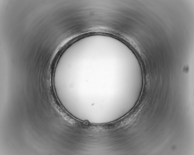 X0000093580931200711051115