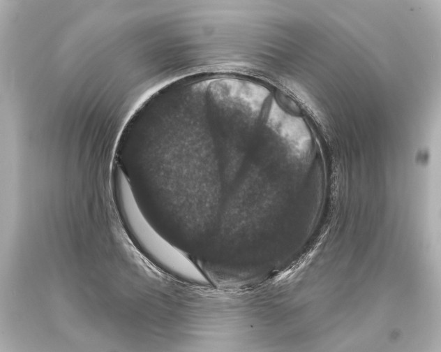 X0000093580932200711051115