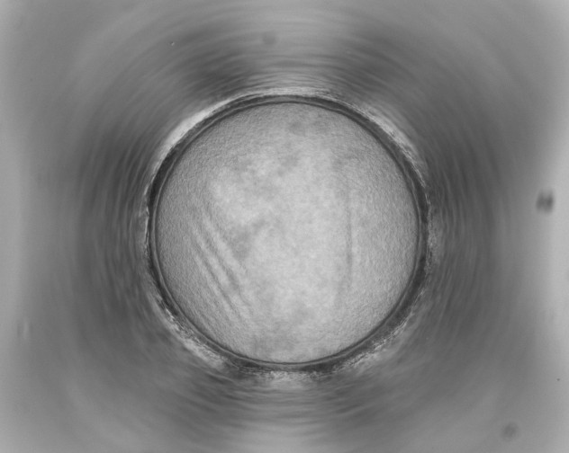 X0000093580933200711051115