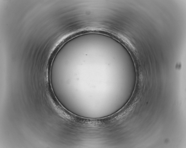 X0000093580934200711051115