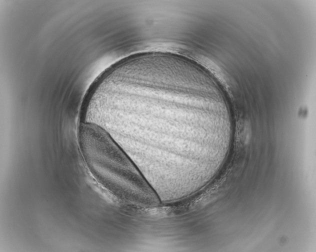 X0000093580936200711051115